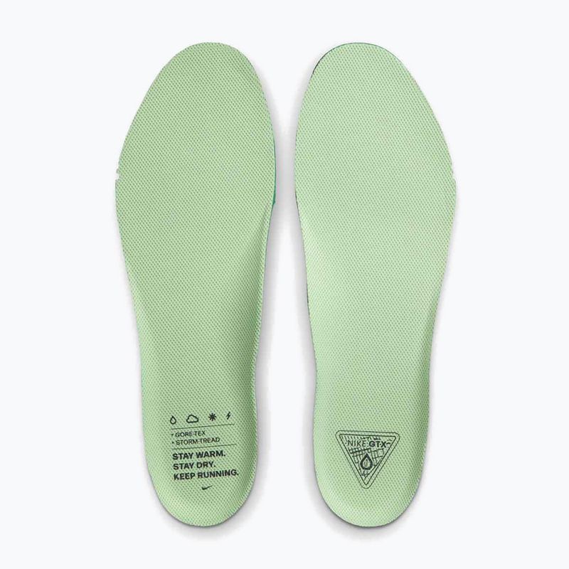 Buty do biegania męskie Nike Pegasus 41 GTX cannon/obsidian/seaweed/volt 11