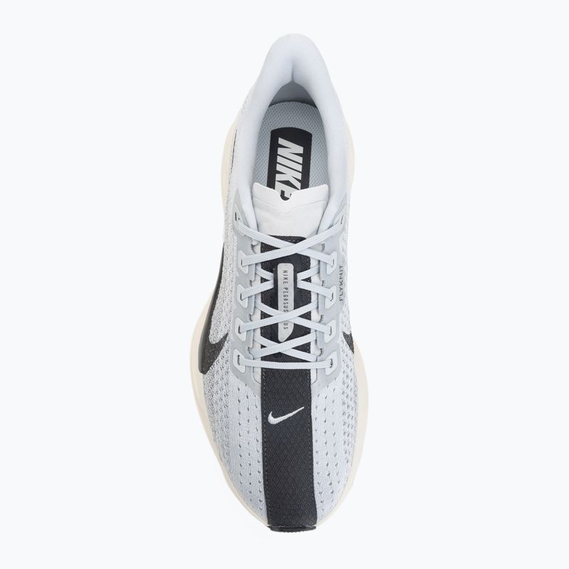 Buty do biegania męskie Nike Pegasus Plus pure platinum/wolf grey/sail/anthracite 5