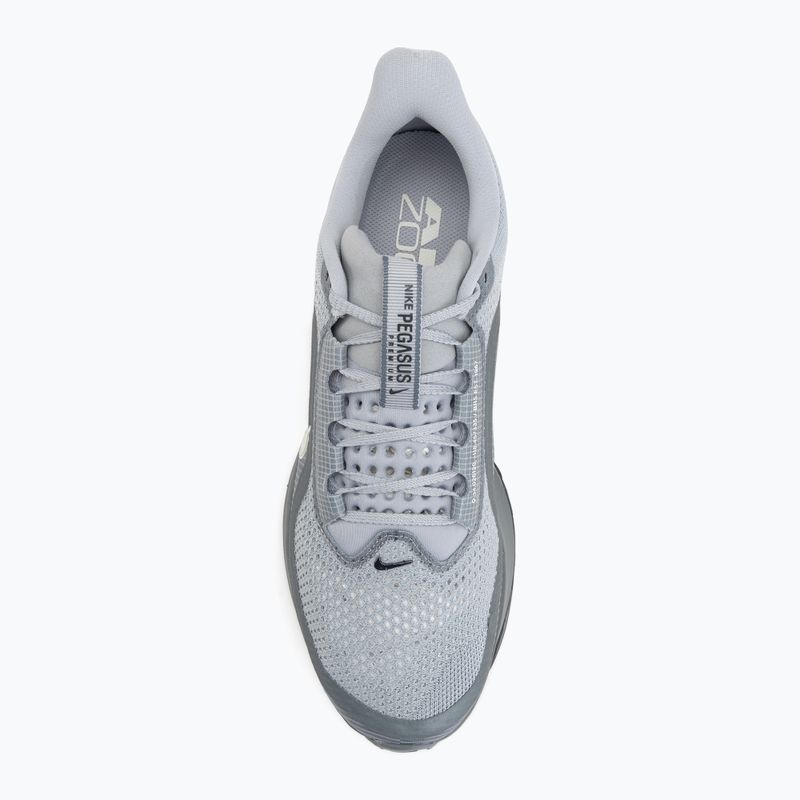 Scarpe da running uomo Nike Pegasus Premium wolf grey/cool grey/anthracite/sail 5
