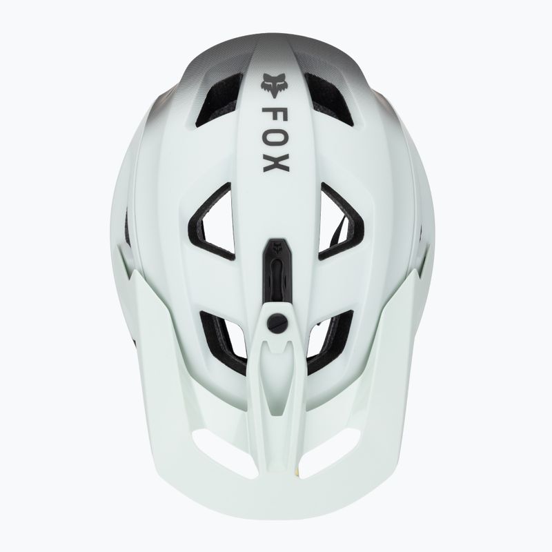 Casco da ciclismo Fox Racing Speedframe Pro Backfade frost 7
