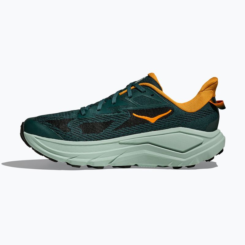 Scarpe da corsa uomo HOKA Challenger 8 bay leaf/sage 4