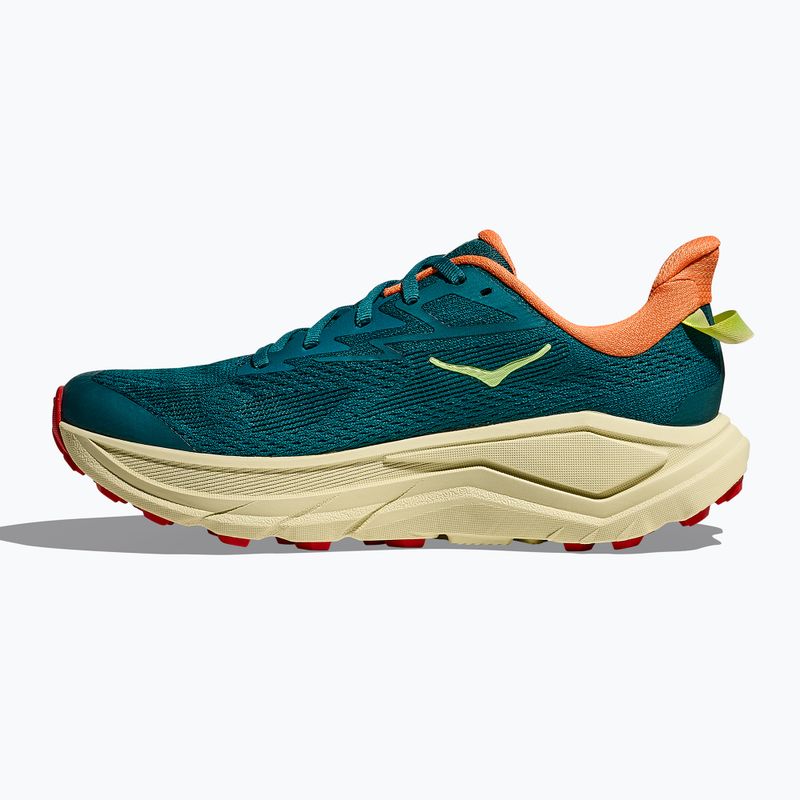 Scarpe da corsa da donna HOKA Challenger 8 tidal wave/pampas grass 11