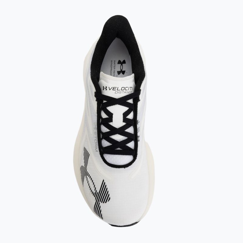 Scarpe da corsa Under Armour Velociti Distance Storm white/white/black 5