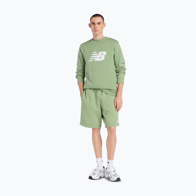 Maglietta da uomo New Balance Graphic V Flying oregano 2