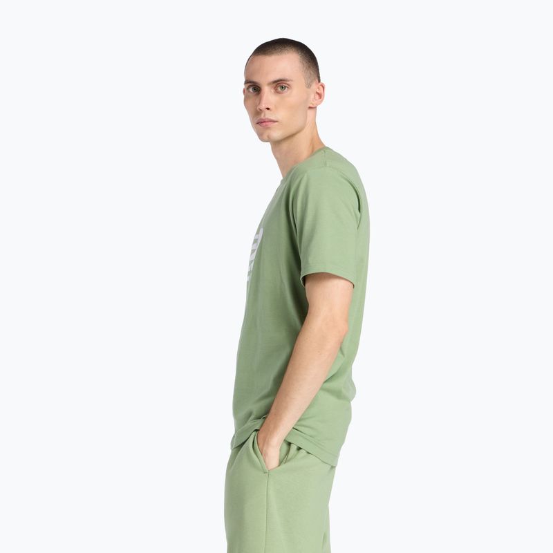 Maglietta da uomo New Balance Graphic V Flying oregano 4