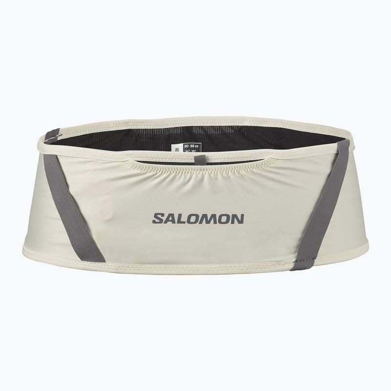 Cintura da corsa Salomon Pulse icicle / castlerock