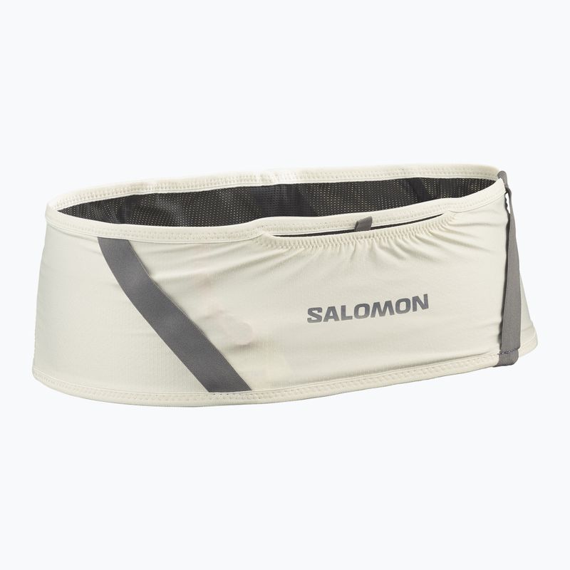 Cintura da corsa Salomon Pulse icicle / castlerock 2