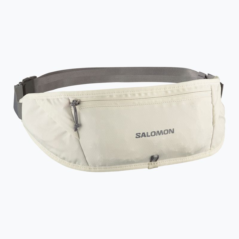 Cintura da corsa Salomon Pulse Sling icicle / castlerock