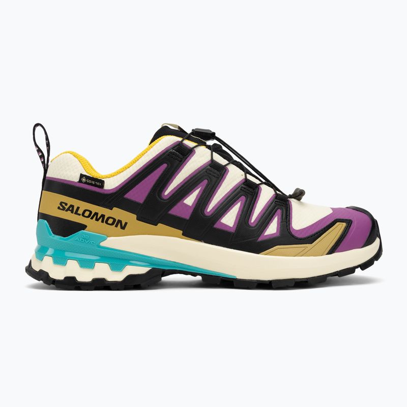 Scarpe da corsa da uomo Salomon XA PRO 3D V9 GTX giallo trasparente/nero/cascata 2