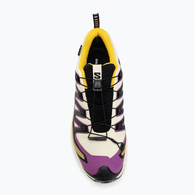 Scarpe da corsa da uomo Salomon XA PRO 3D V9 GTX giallo trasparente/nero/cascata 5