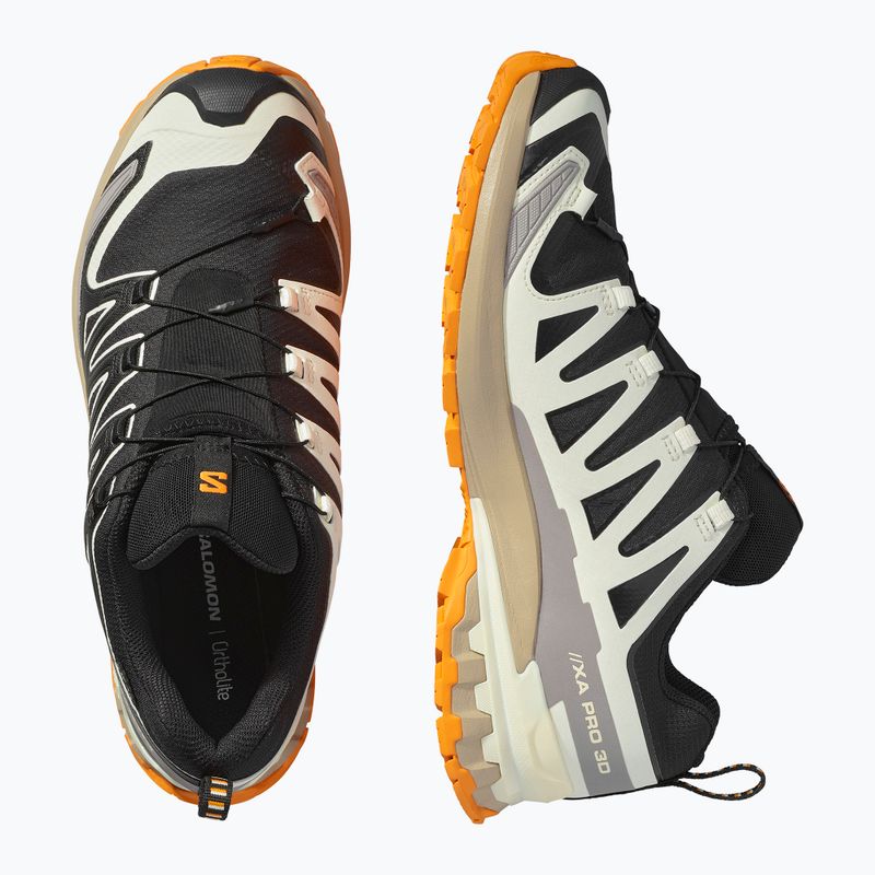 Scarpe da corsa da uomo Salomon XA PRO 3D V9 GTX nero/vanilla ice/curcuma 12