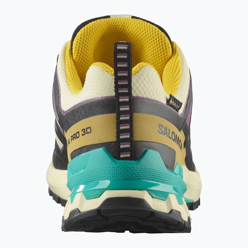 Scarpe da corsa da donna Salomon XA PRO 3D V9 GTX giallo trasparente/nero/cascata 3