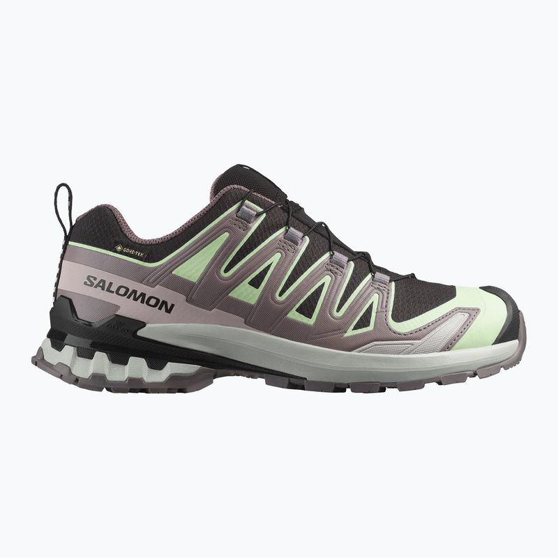 Scarpe da corsa da donna Salomon XA PRO 3D V9 GTX nero/verde patina/viola grigio 8