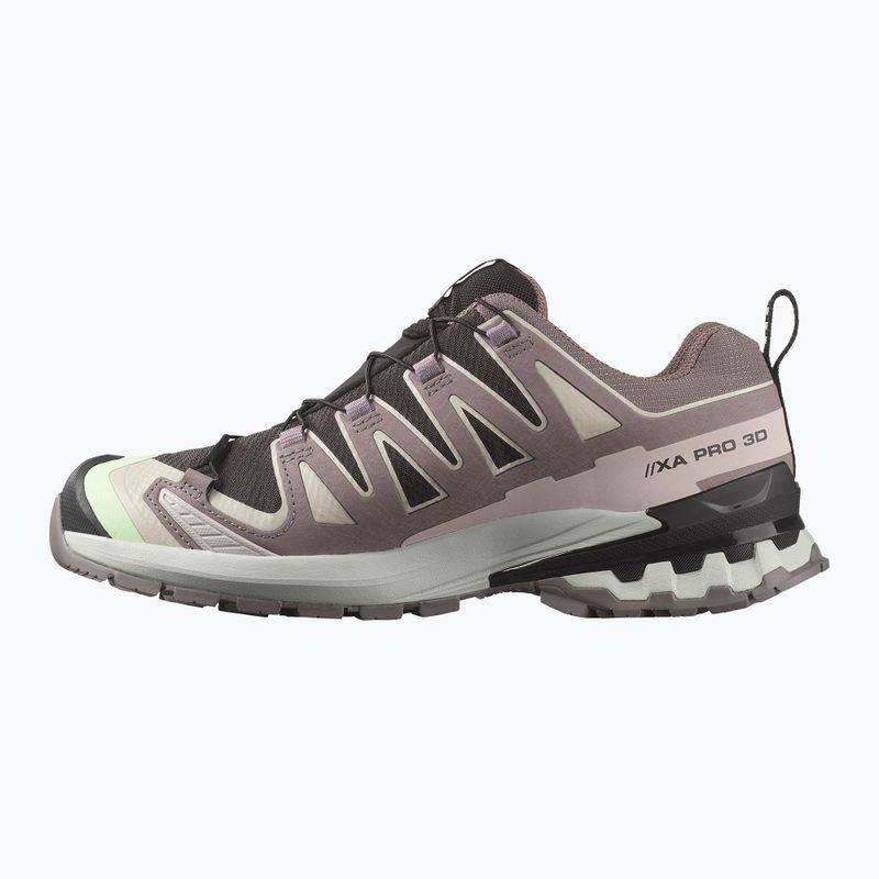 Scarpe da corsa da donna Salomon XA PRO 3D V9 GTX nero/verde patina/viola grigio 9