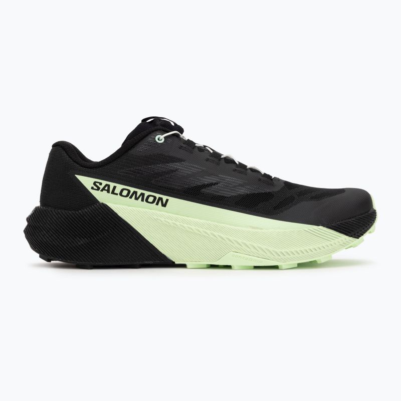 Scarpe da running da uomo Salomon Pulsar black/black/patina green 2