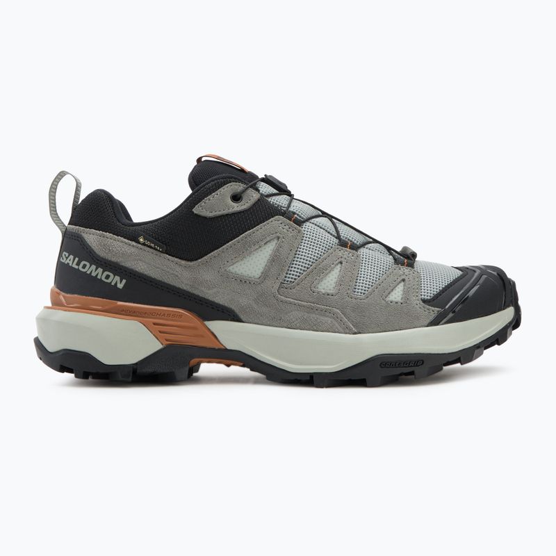 Scarpe da trekking da uomo Salomon X Ultra 360 Leather GTX ferro battuto / sedona sage / sierra 2