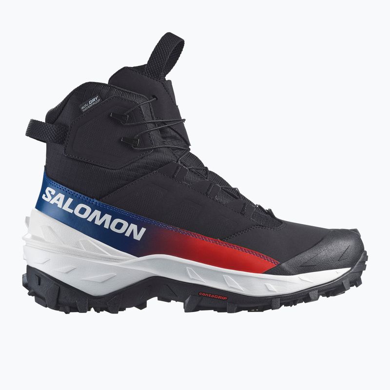 Scarpe da trekking uomo Salomon Crosstrak Powder WP Equipe black/black