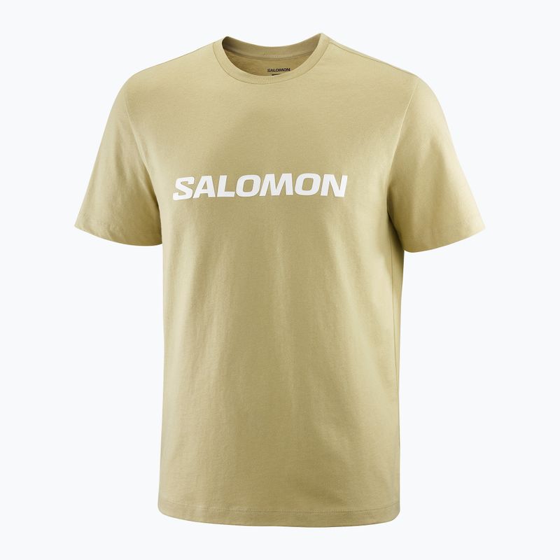 Maglietta da uomo Salomon Logo grigio verde 3
