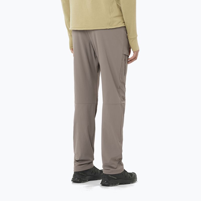 Pantaloni da trekking uomo Salomon Wayfarer iron 2