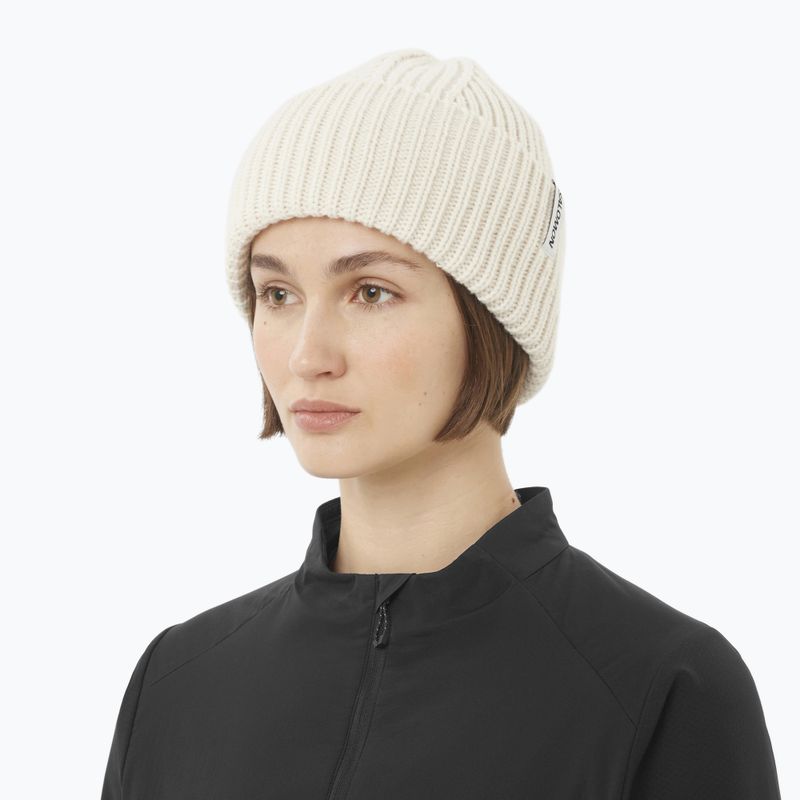 Cappello invernale Salomon Snowbird whisper white 2