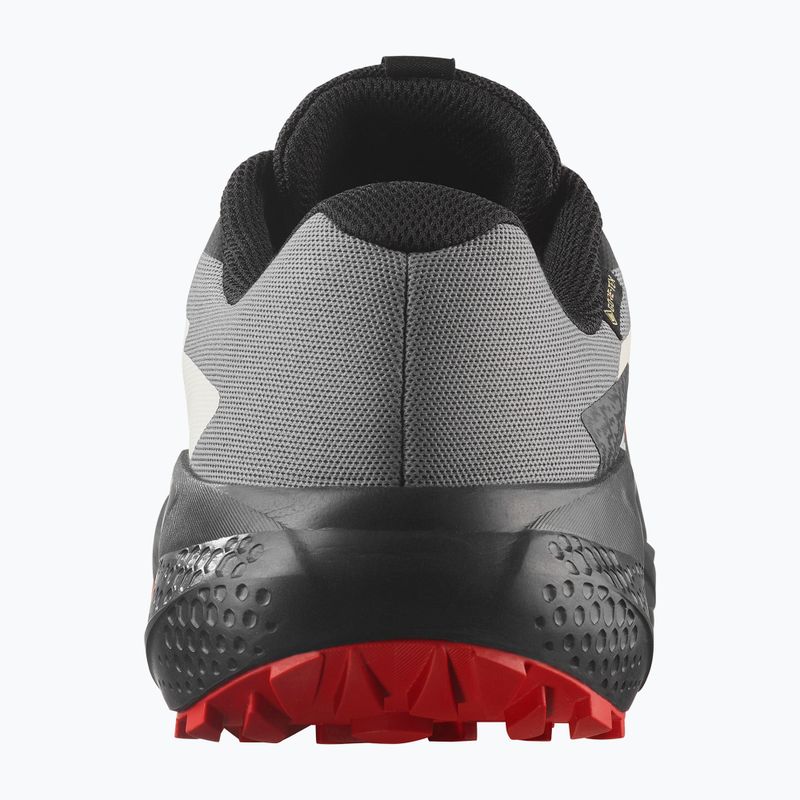 Scarpe da corsa da uomo Salomon Alphaglide GTX flame scarlet/black/pewter 10