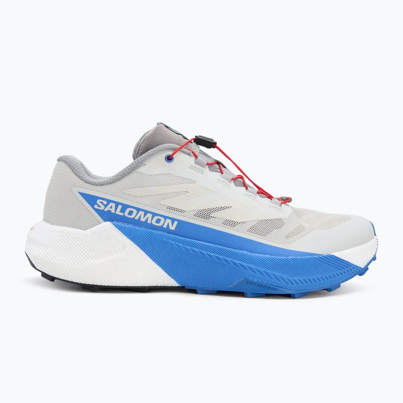 Scarpe da corsa da uomo Salomon Pulsar lunar rock/white/french blue 2