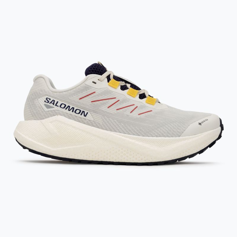 Scarpe da corsa da donna Salomon Aero Blaze 3 Gravel GTX vanilla ice/astral aura/lemon 2