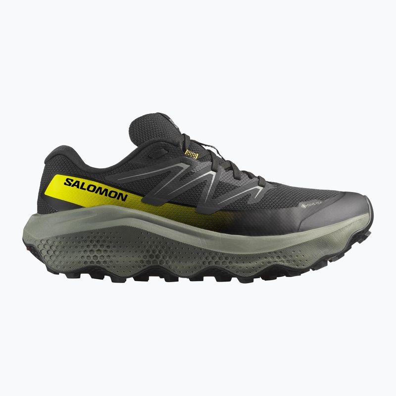 Scarpe da corsa da uomo Salomon Ultra Flow 2 GTX black/sedona sage/incaberry 8