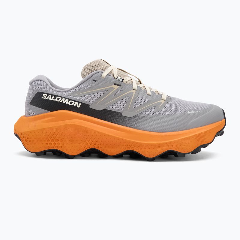 Scarpe da corsa da uomo Salomon Ultra Flow 2 GTX gull/turmeric/white pepper 2
