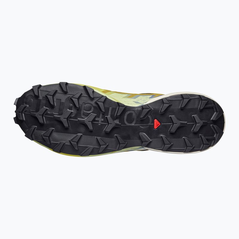 Scarpe da corsa uomo Salomon Speedcross 6 GTX grape leaf/aspargus green 5