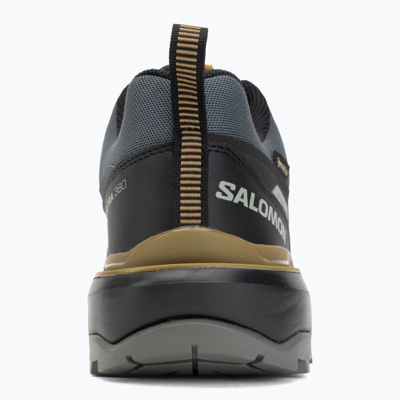 Scarpe da trekking da uomo Salomon X Ultra 360 GTX urban chic/black 6