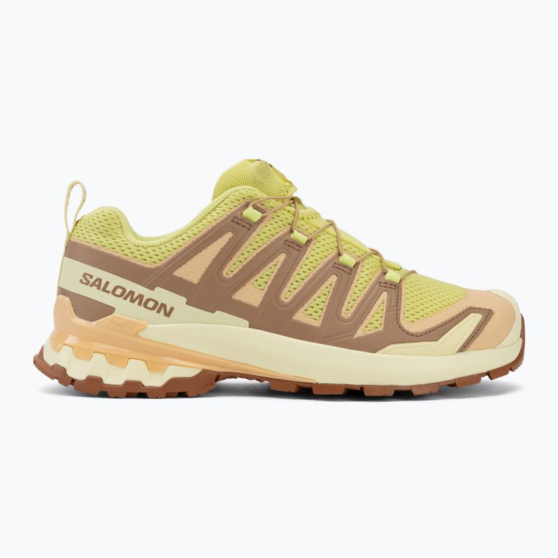 Scarpe da running da donna Salomon XA Pro 3D V9 endive/burro/almond cream 2
