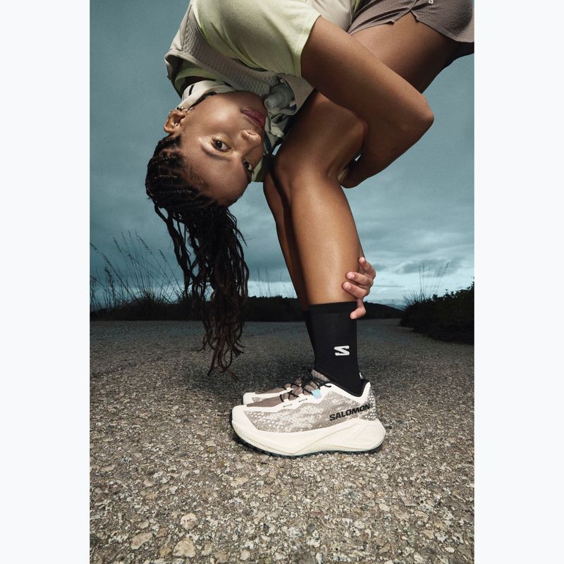 Scarpe da running da donna Salomon Aero Glide 4 GRVL vanilla ice/black iron 8