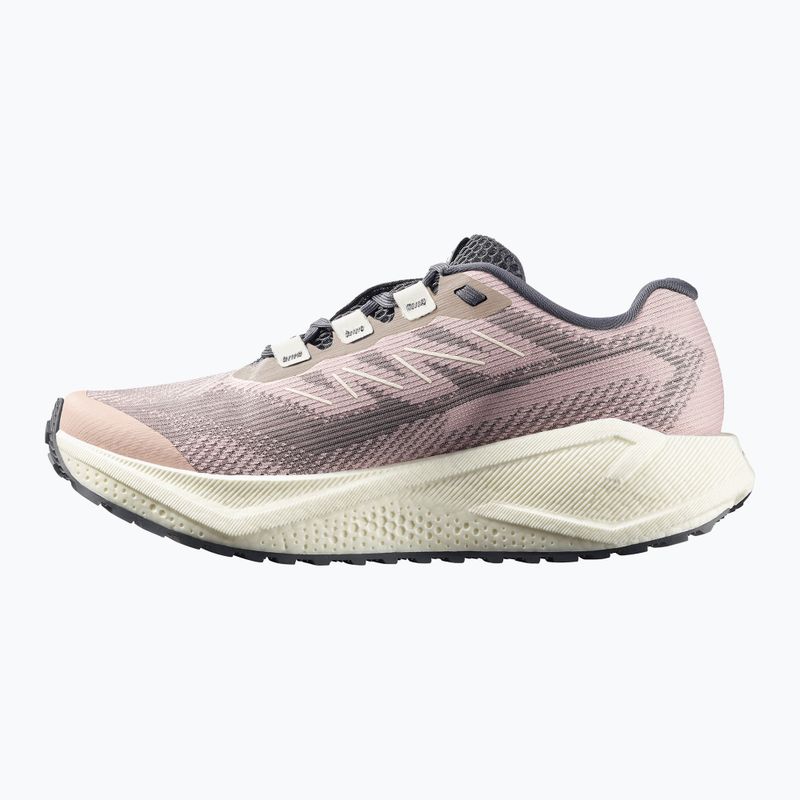 Scarpe da running da donna Salomon Aero Blaze 3 GRVL shadow gray/vanilla ice/9iron 3