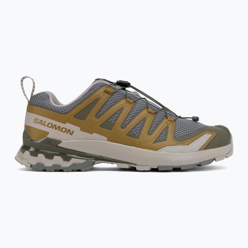 Scarpe da running da uomo Salomon XA Pro 3D V9 sedona sage/plantation/paloma 2