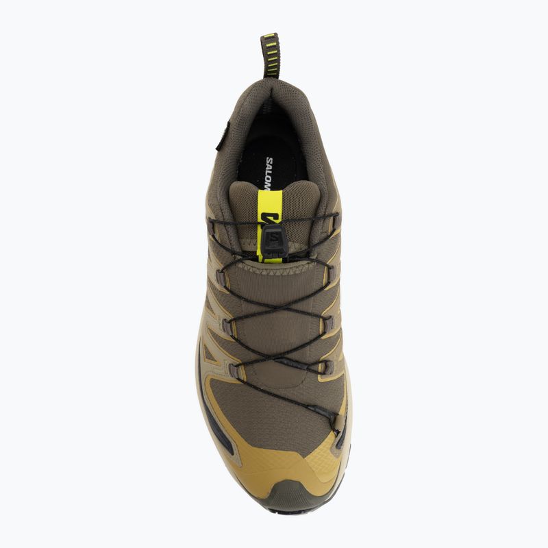 Scarpe da corsa uomo Salomon XA Pro 3D V9 GTX grape leaf/aloe 5