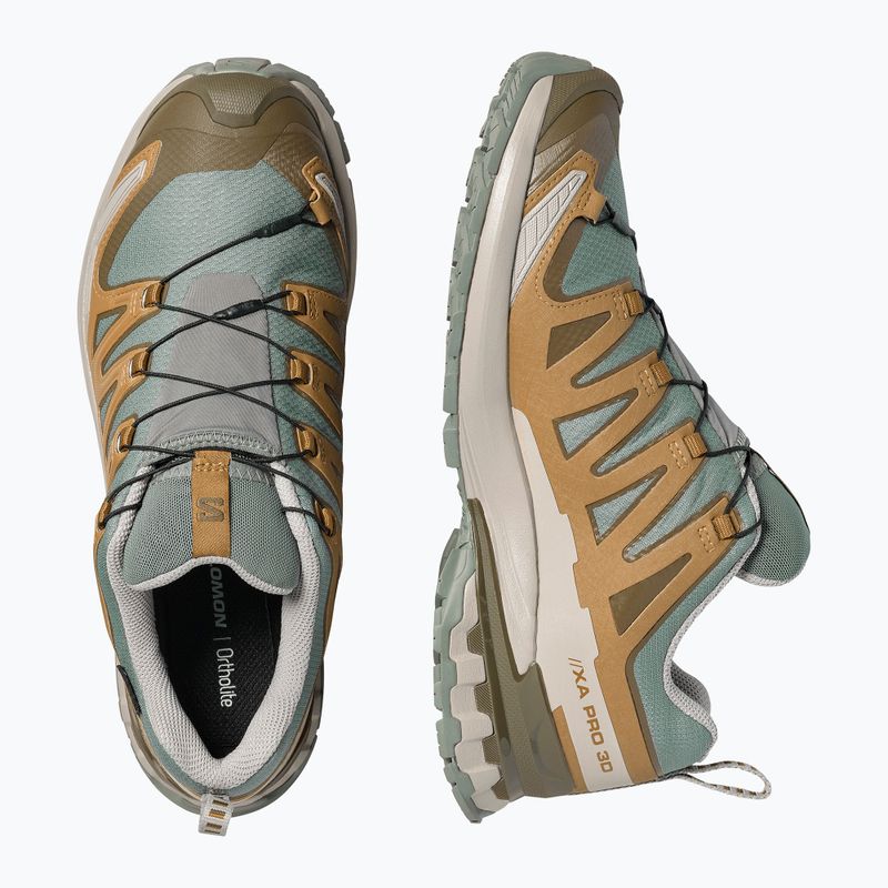 Scarpe da corsa uomo Salomon XA Pro 3D V9 GTX sedona sage/brilliant olive 3