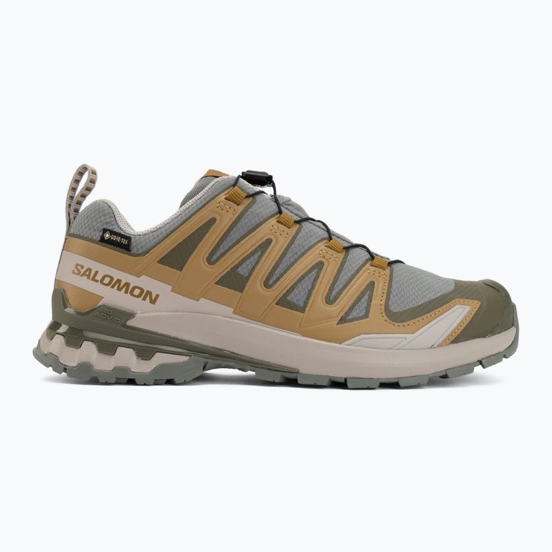 Scarpe da corsa uomo Salomon XA Pro 3D V9 GTX sedona sage/brilliant olive 2