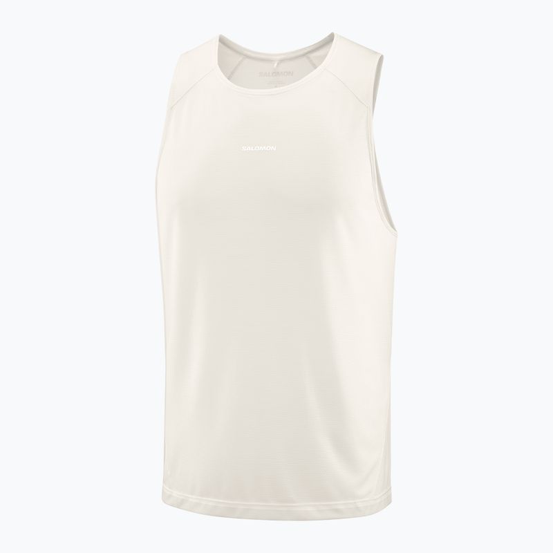 Maglietta da uomo Salomon Shakeout Core whisper white 3