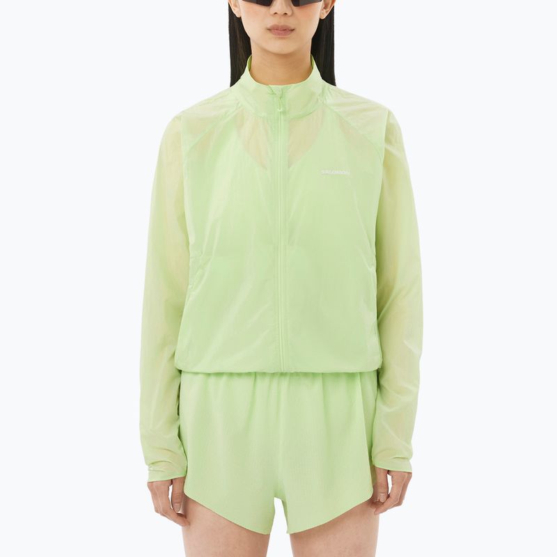 Giacca da running da donna Salomon Shakeout Fly butterfly