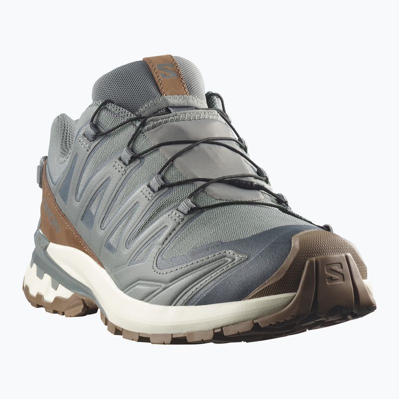 Scarpe da corsa uomo Salomon XA Pro 3D V9 GTX Lifelong sedona sage/coyote brown 2