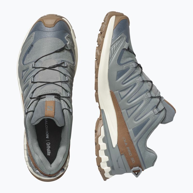 Scarpe da corsa uomo Salomon XA Pro 3D V9 GTX Lifelong sedona sage/coyote brown 3