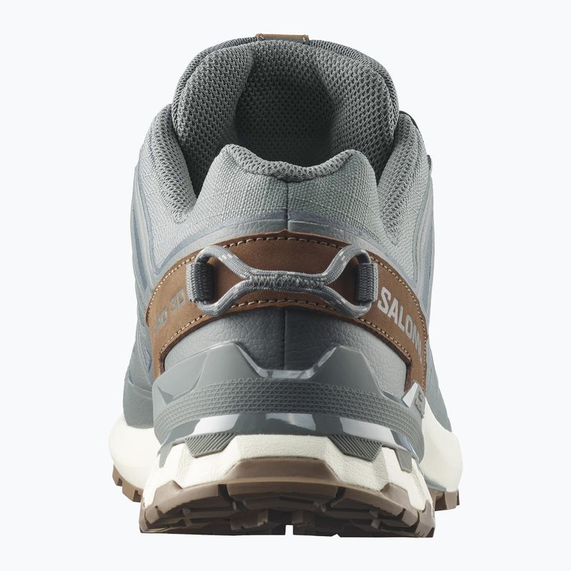 Scarpe da corsa uomo Salomon XA Pro 3D V9 GTX Lifelong sedona sage/coyote brown 5