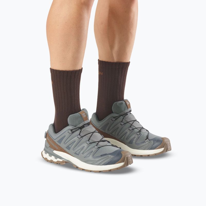 Scarpe da corsa uomo Salomon XA Pro 3D V9 GTX Lifelong sedona sage/coyote brown 6