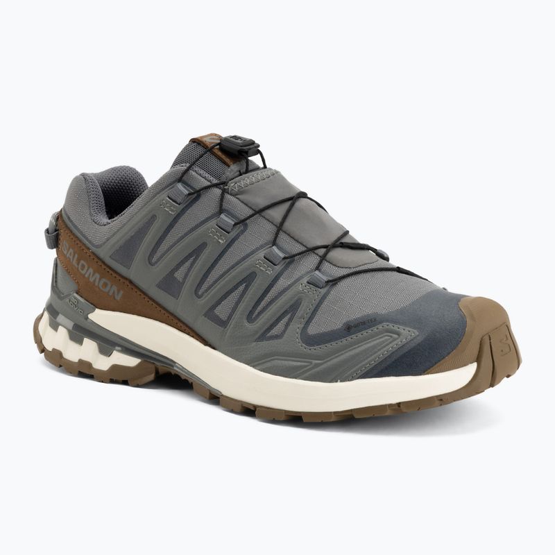Scarpe da corsa uomo Salomon XA Pro 3D V9 GTX Lifelong sedona sage/coyote brown