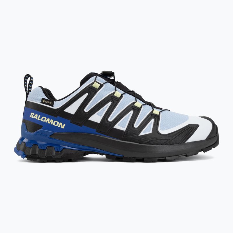 Scarpe da corsa uomo Salomon XA Pro 3D V9 GTX Icon black/brunnera blue 2