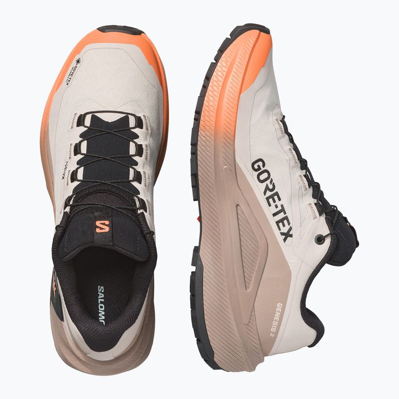 Scarpe da corsa donna Salomon Genesis 2 GTX rainy day/desert tan 3