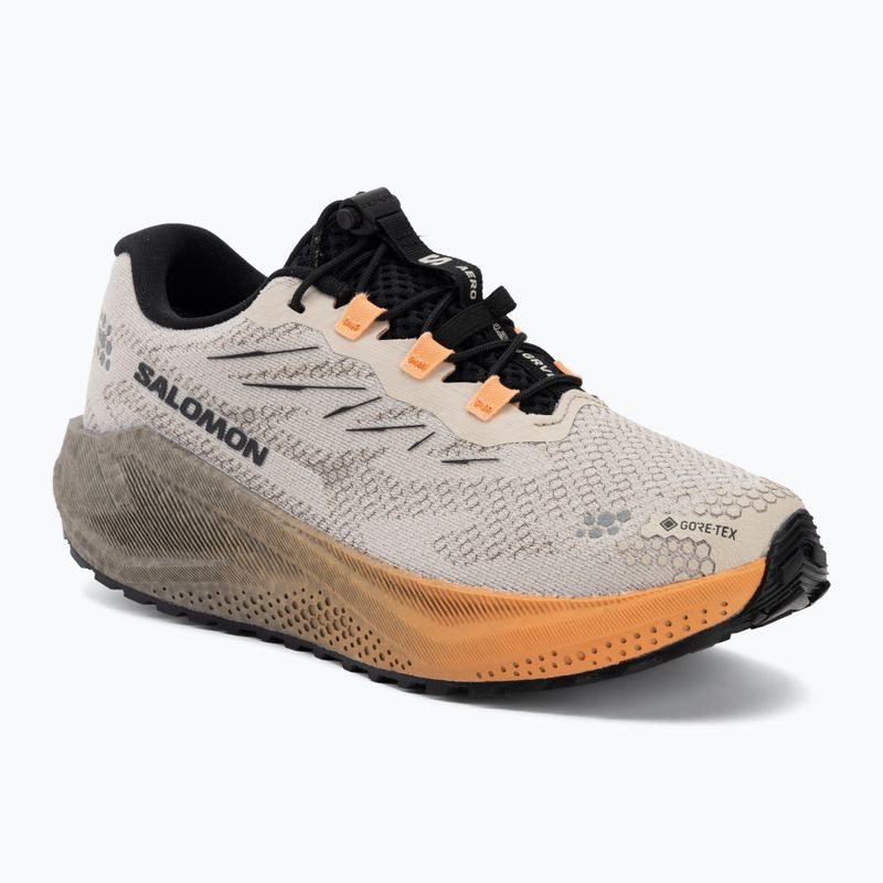 Scarpe da corsa donna Salomon Aero Blaze 4 GRVL GTX rainy day/black
