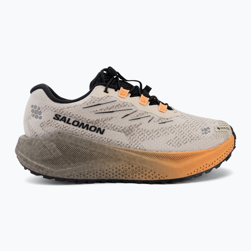Scarpe da corsa donna Salomon Aero Blaze 4 GRVL GTX rainy day/black 2