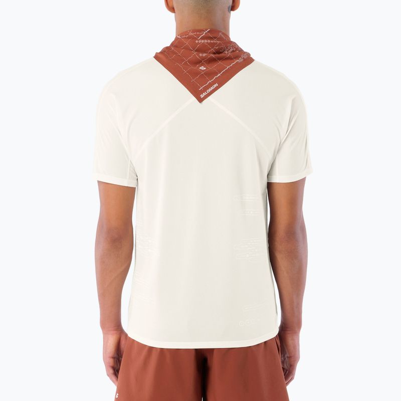 Maglia da corsa da uomo Salomon Sense Aero GFX Tee SS whisper white/raind day/bright white 2